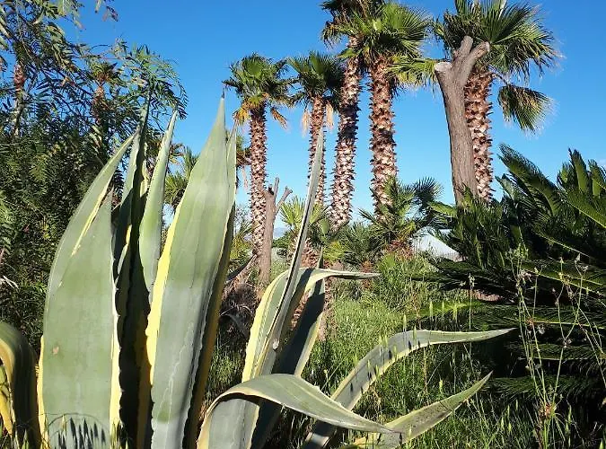 Fresh Dar Orlic Aparthotel